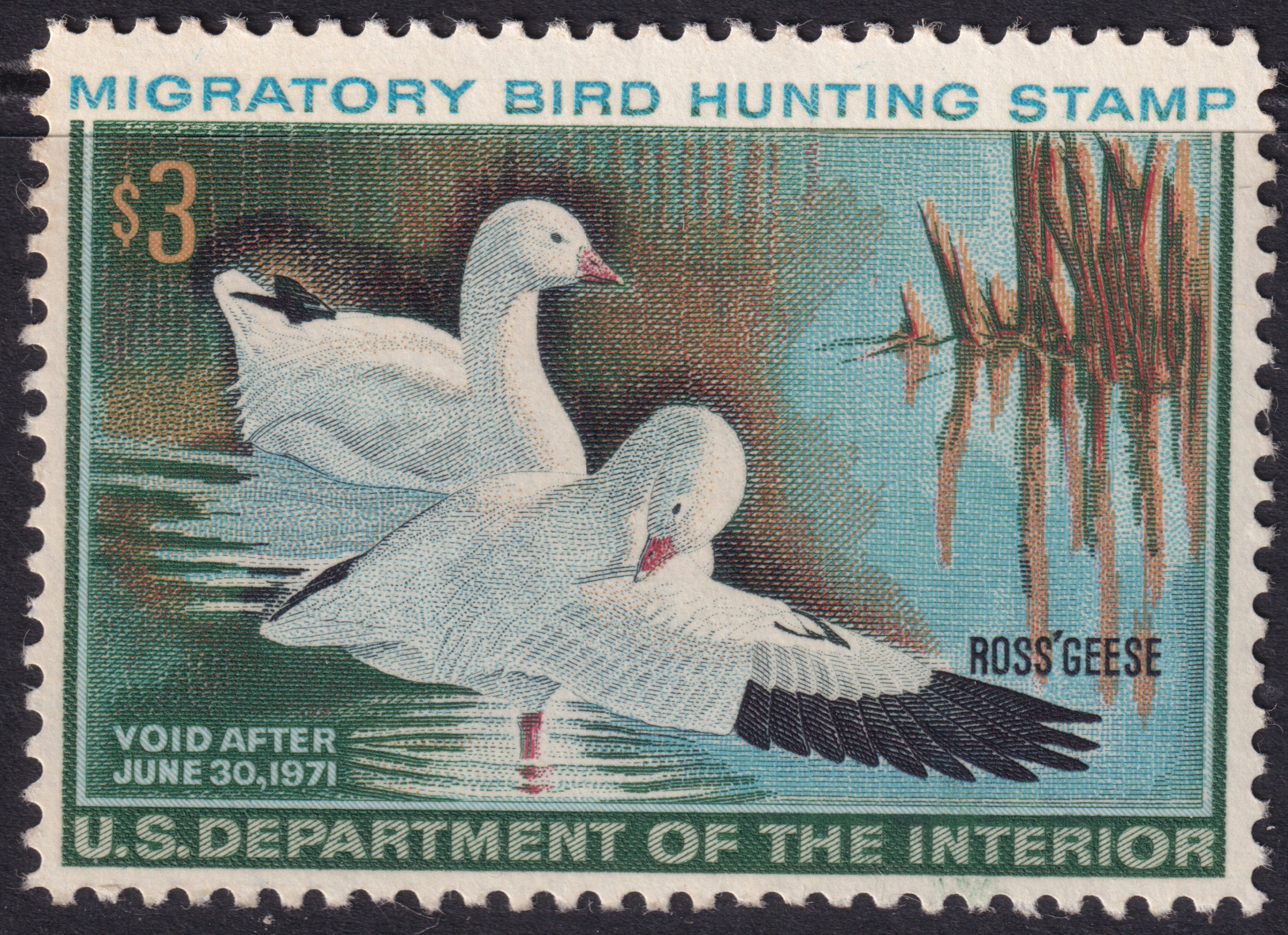 Stamp Picture