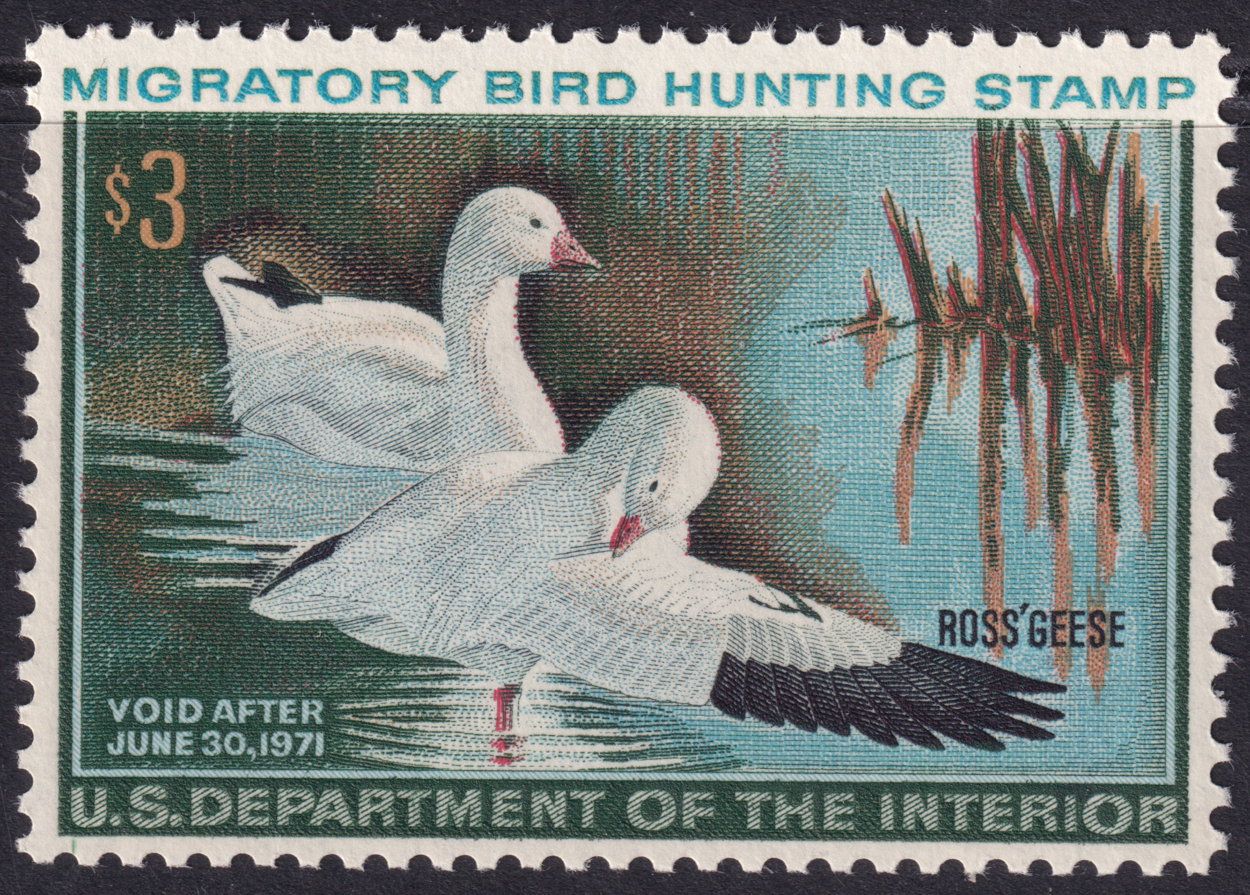 Stamp Picture