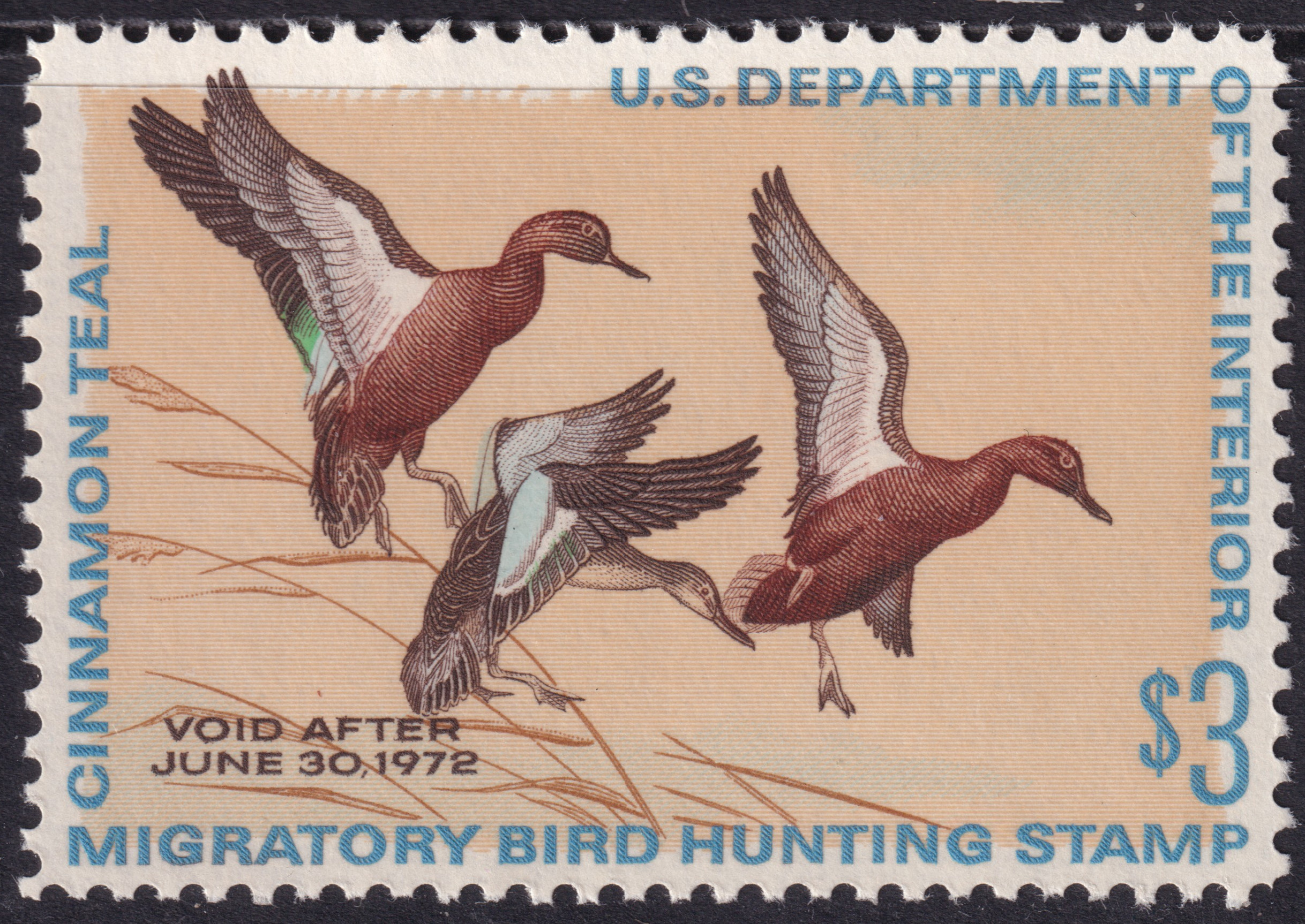 Stamp Picture