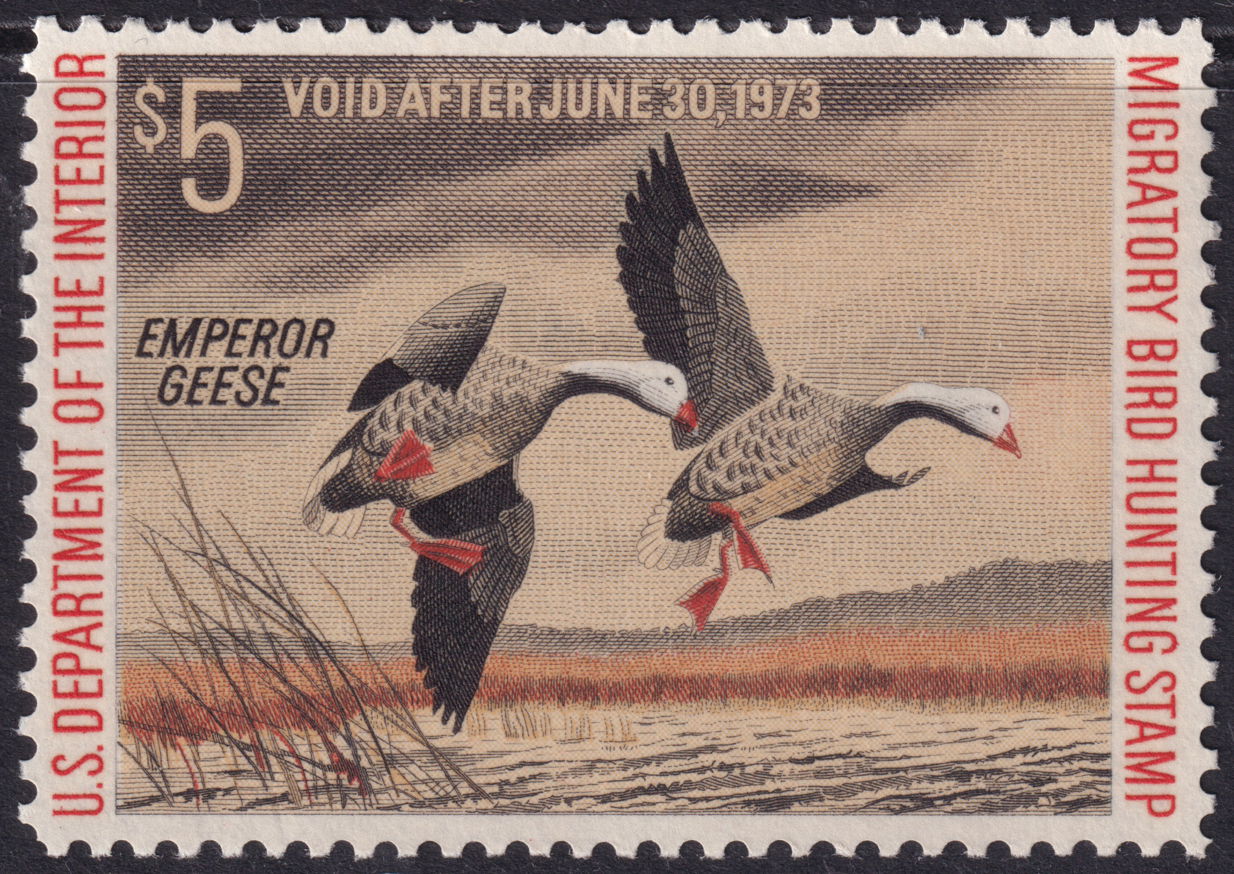 Stamp Picture