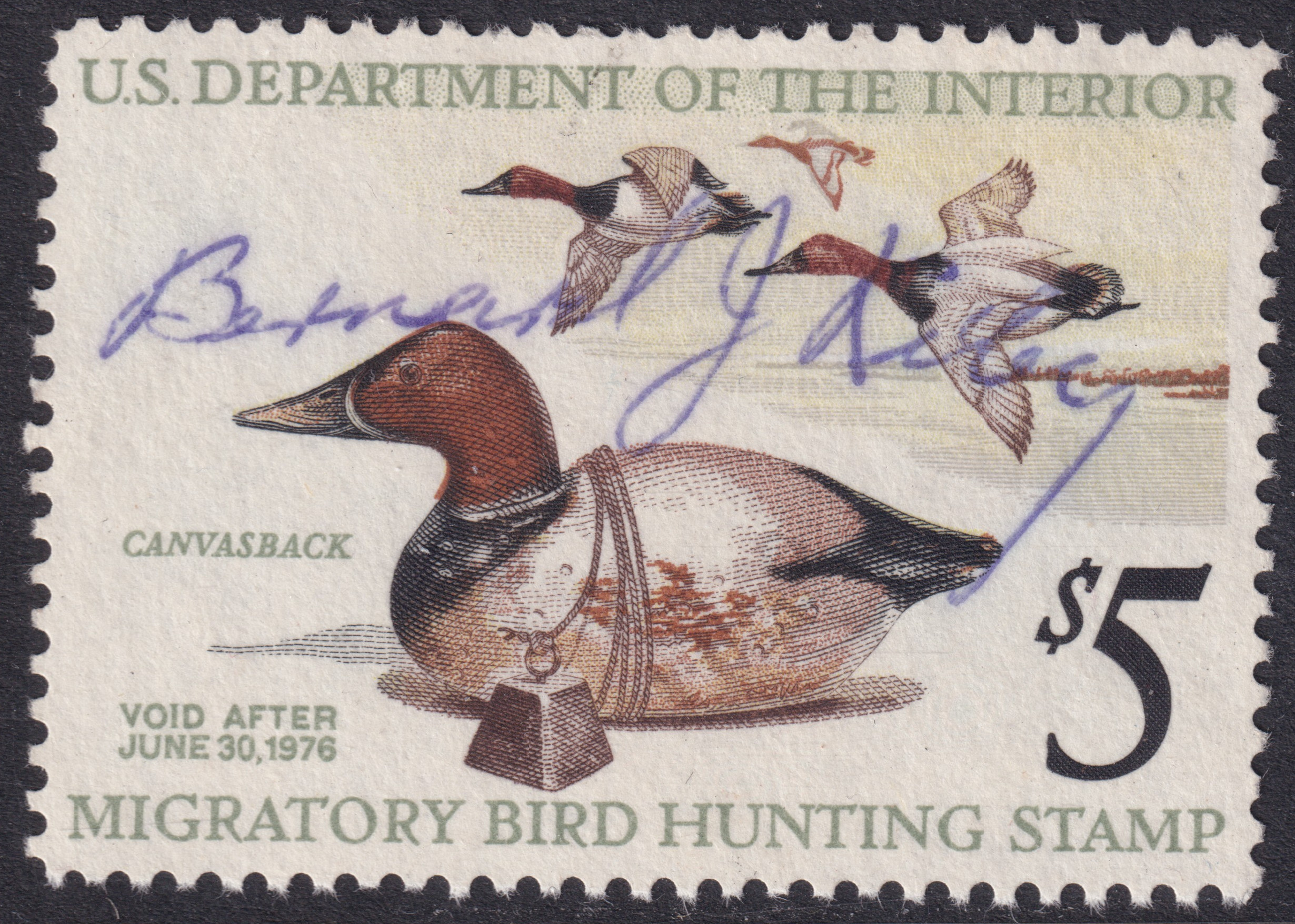 Stamp Picture