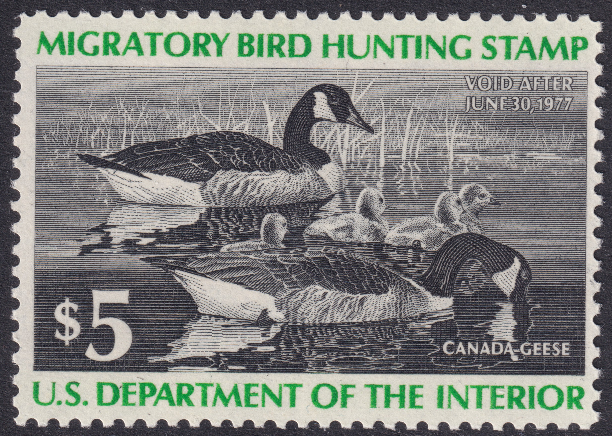 Stamp Picture
