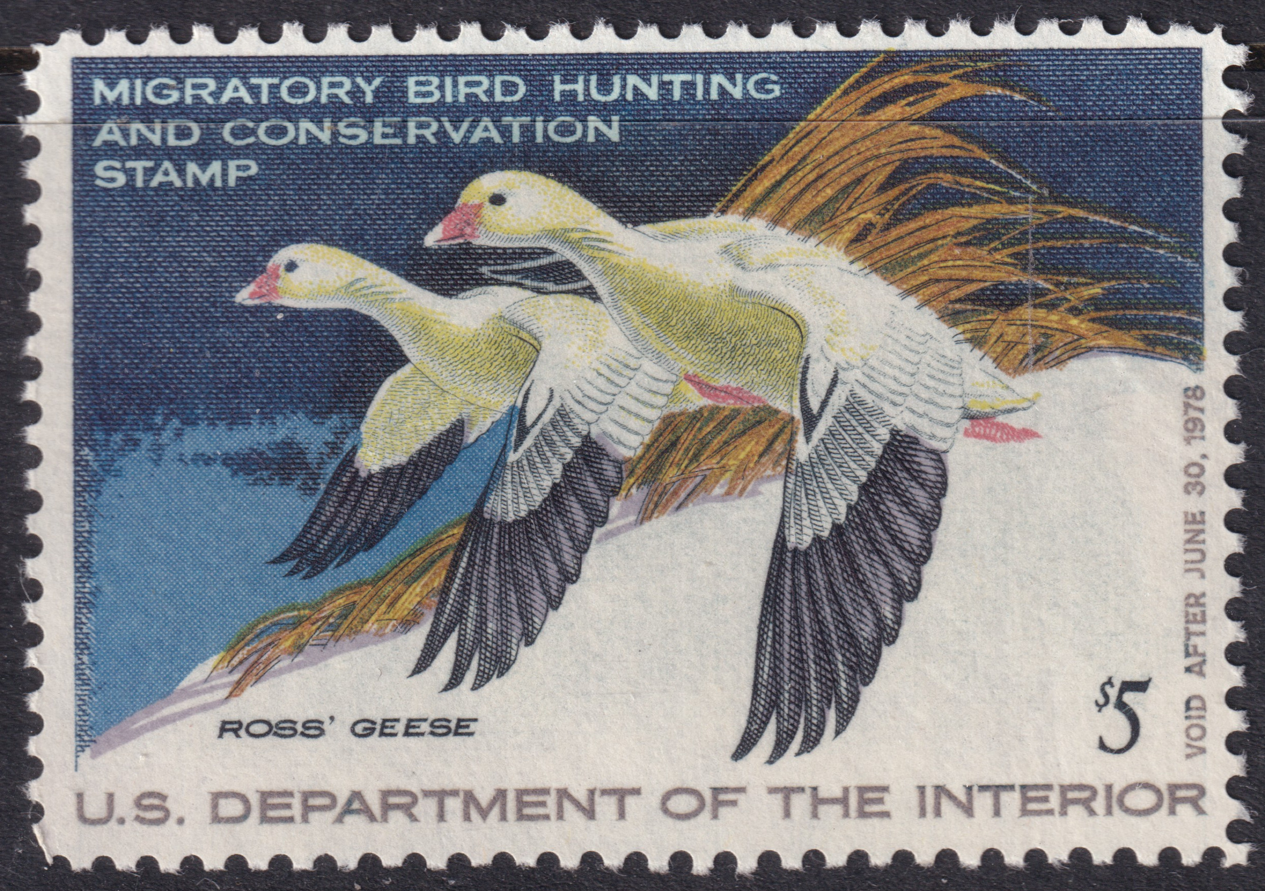 Stamp Picture