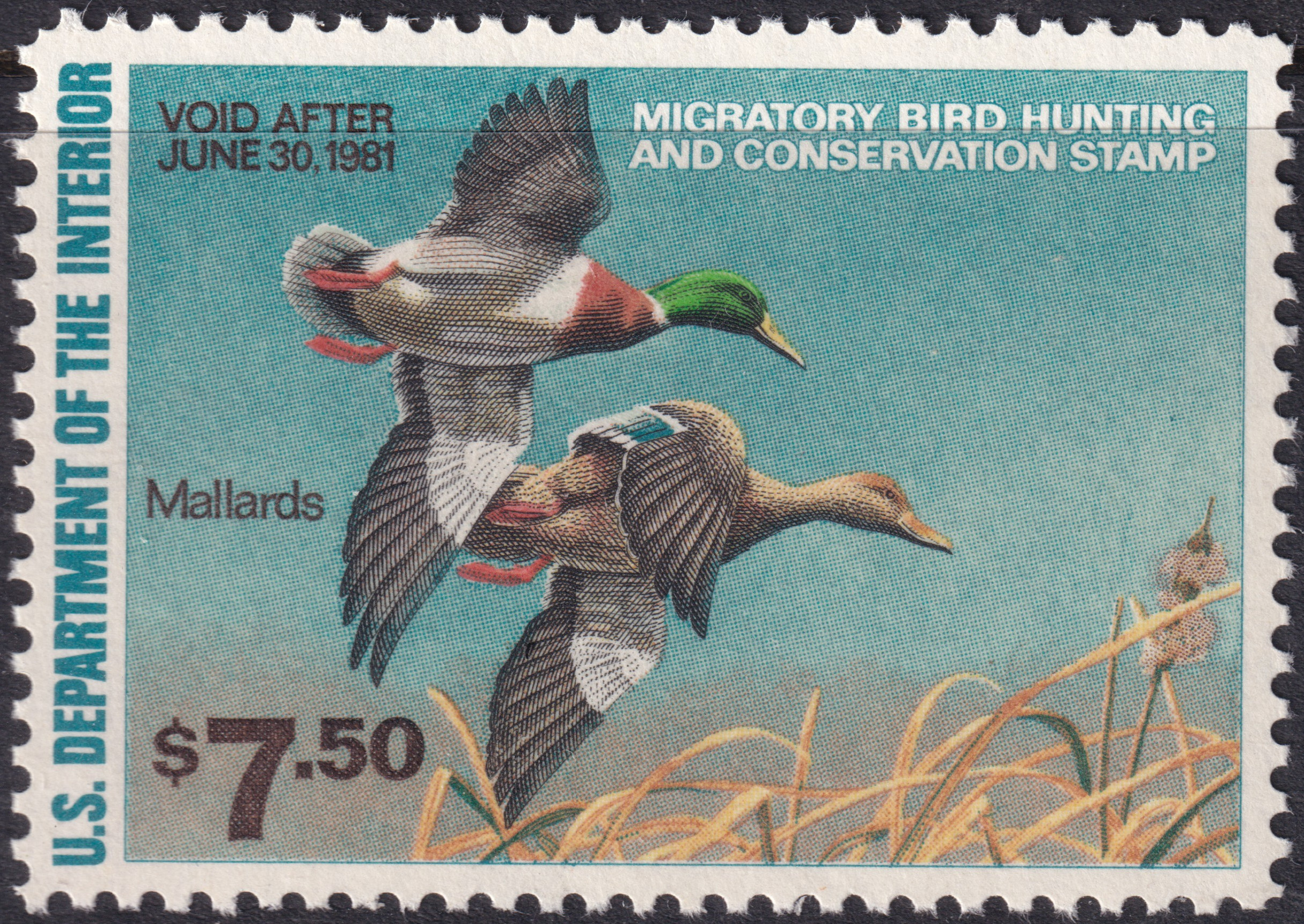Stamp Picture