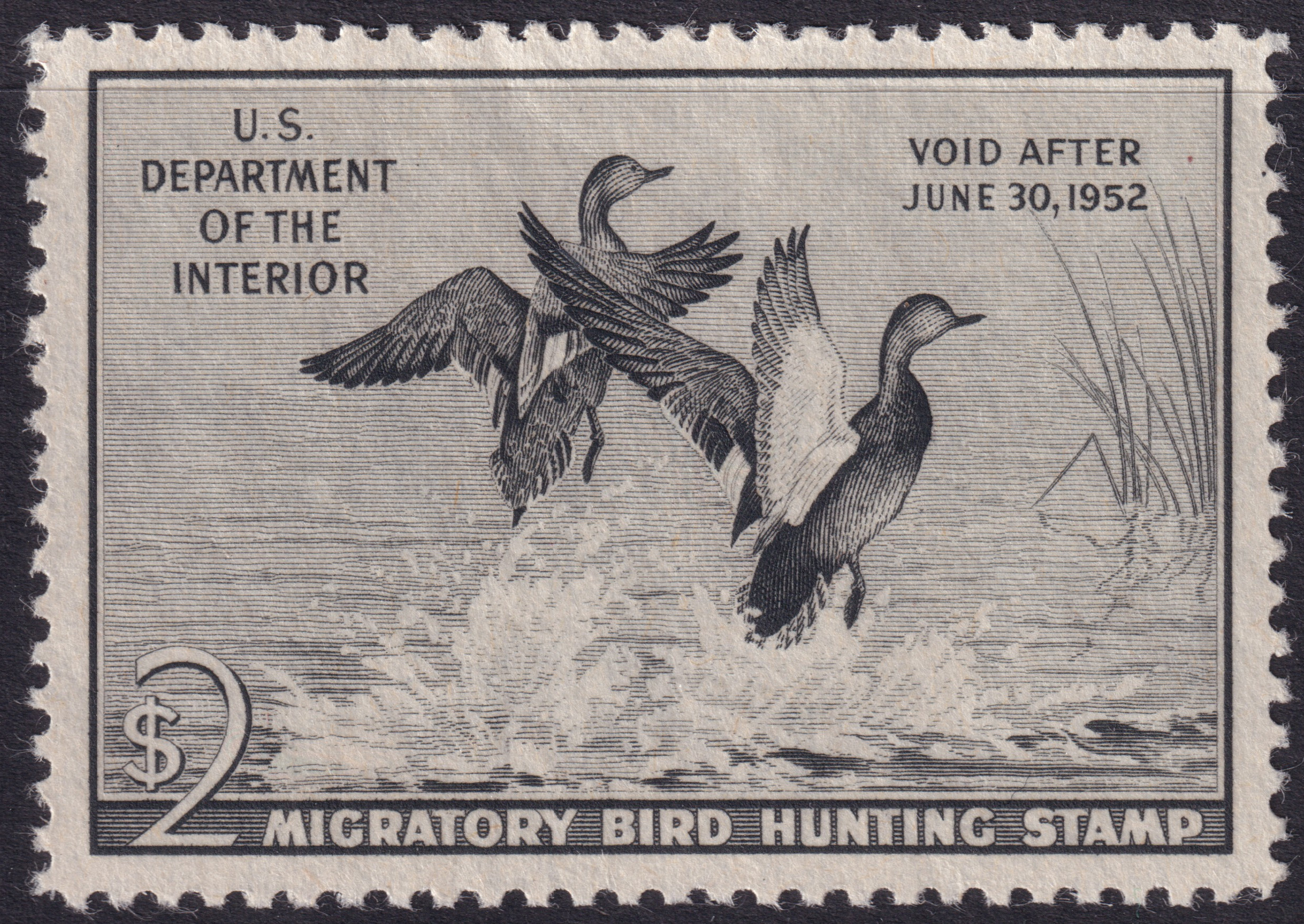 Stamp Picture