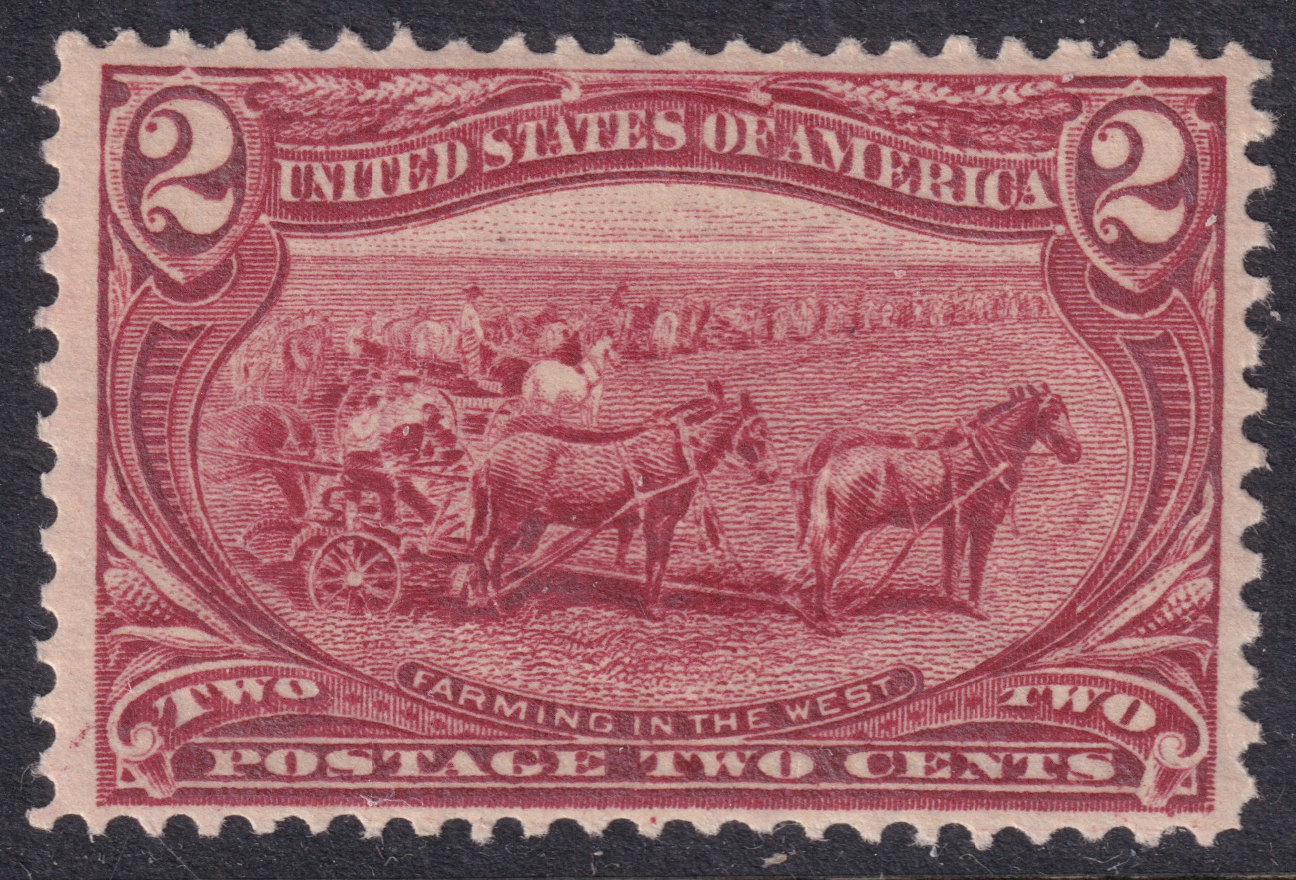 Stamp Picture
