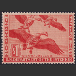 Picture of Lot #55061