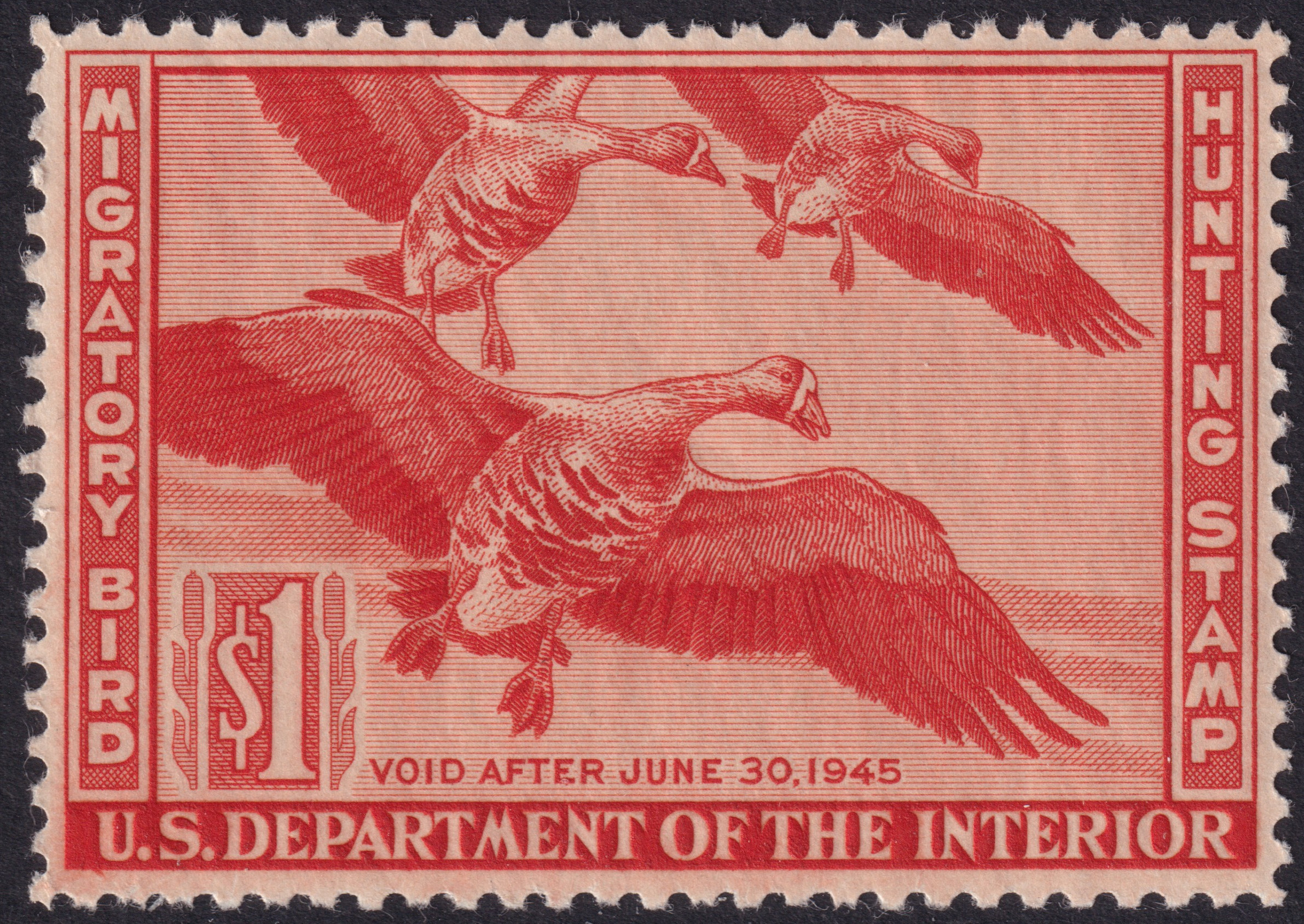 Stamp Picture