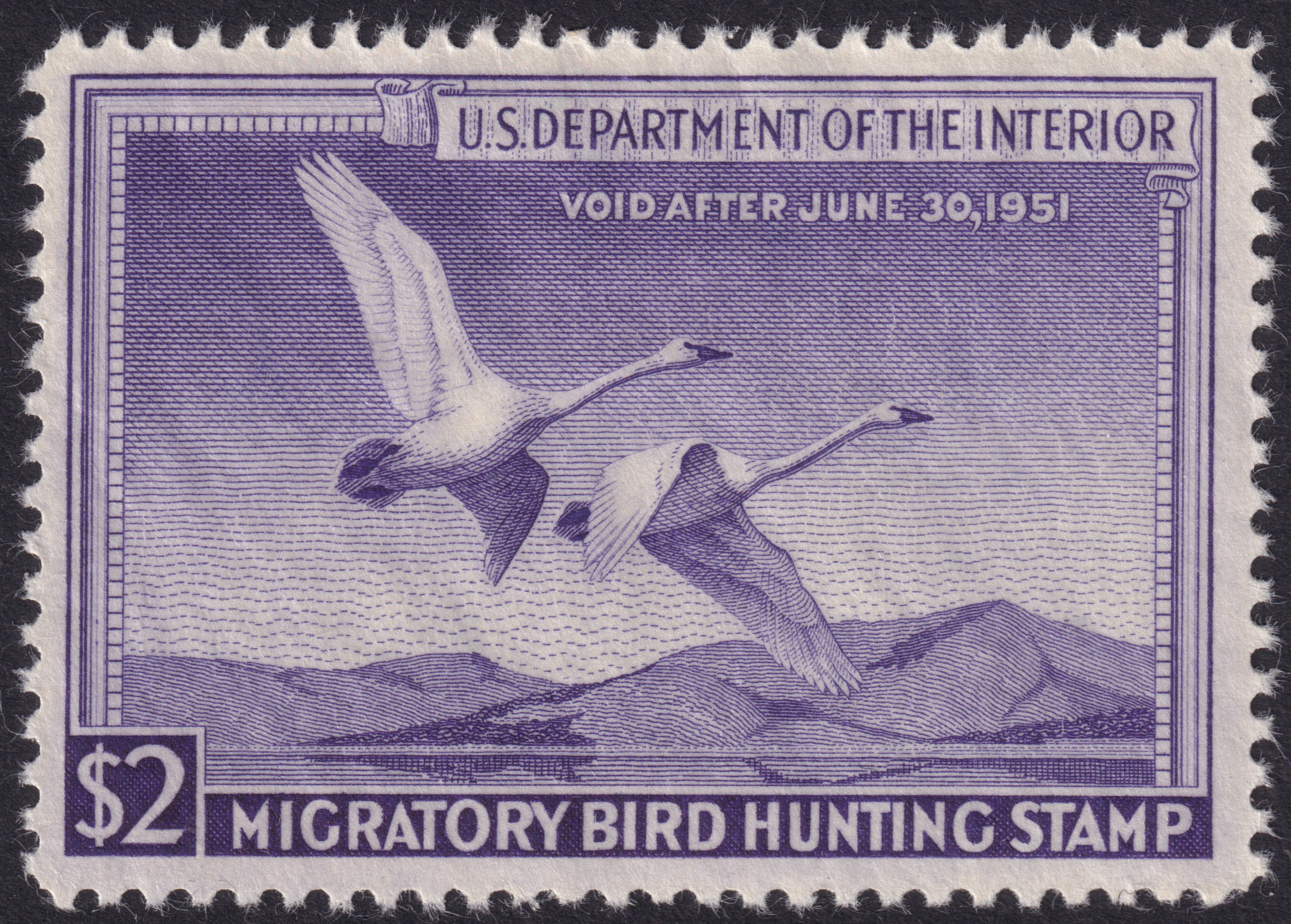 Stamp Picture