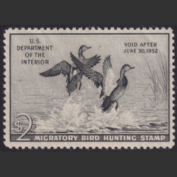 Picture of Lot #55063