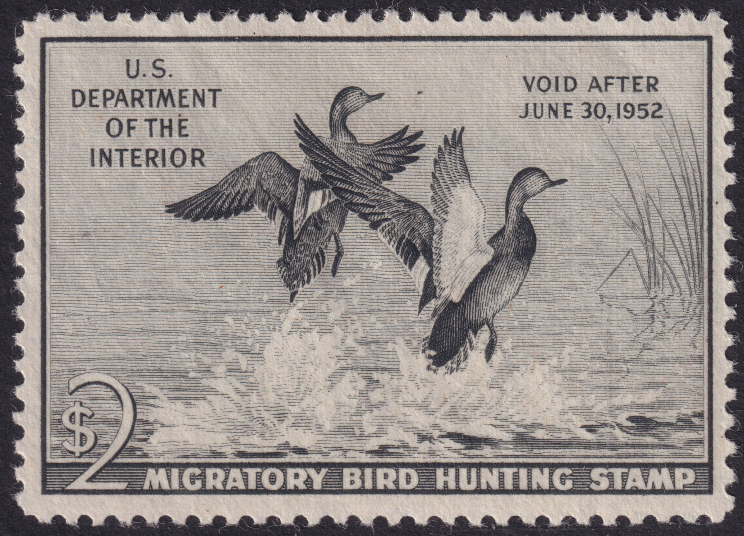 Stamp Picture
