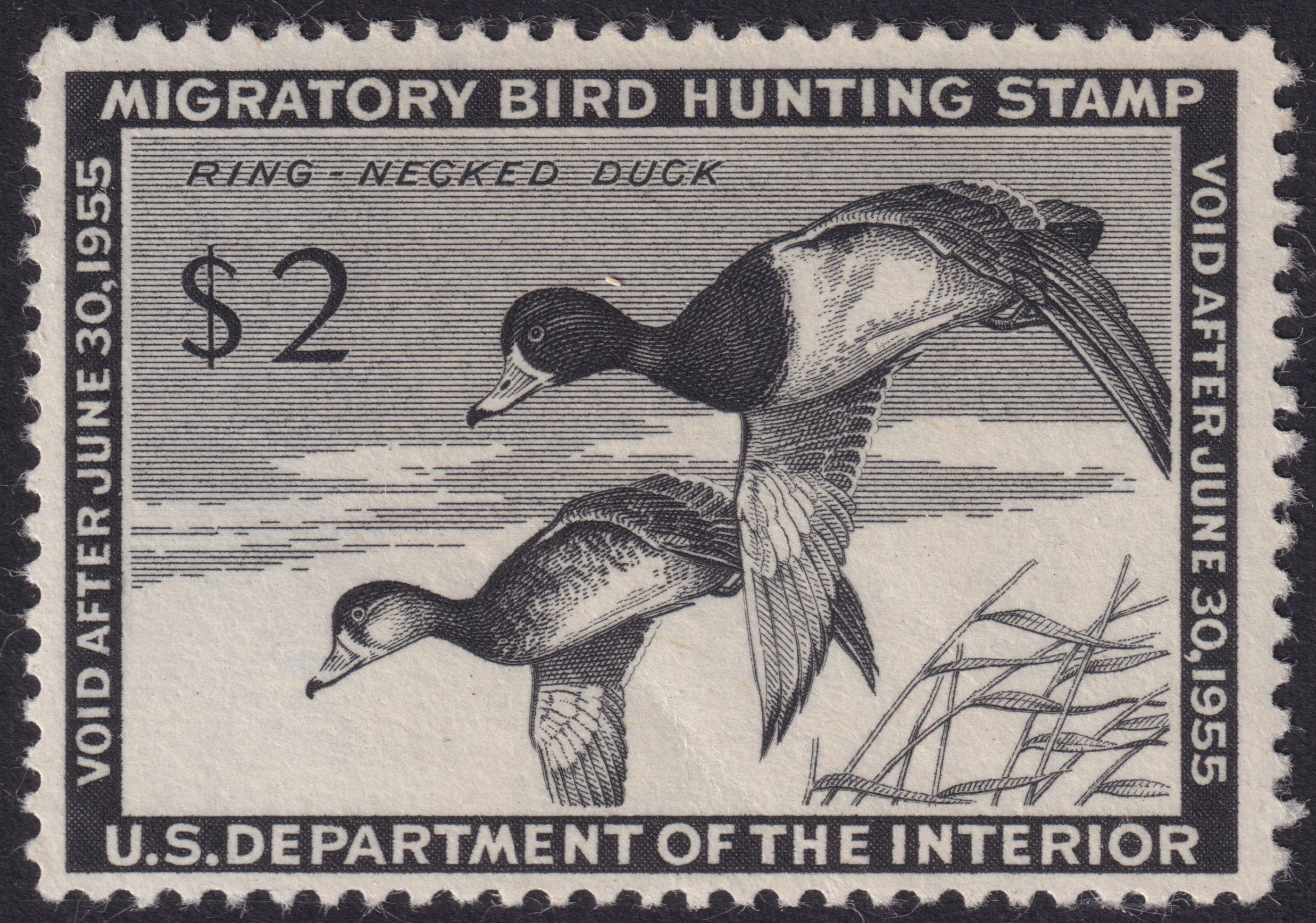 Stamp Picture