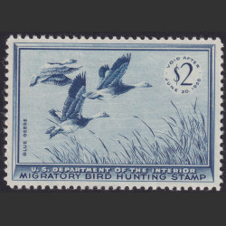 Picture of Lot #55065