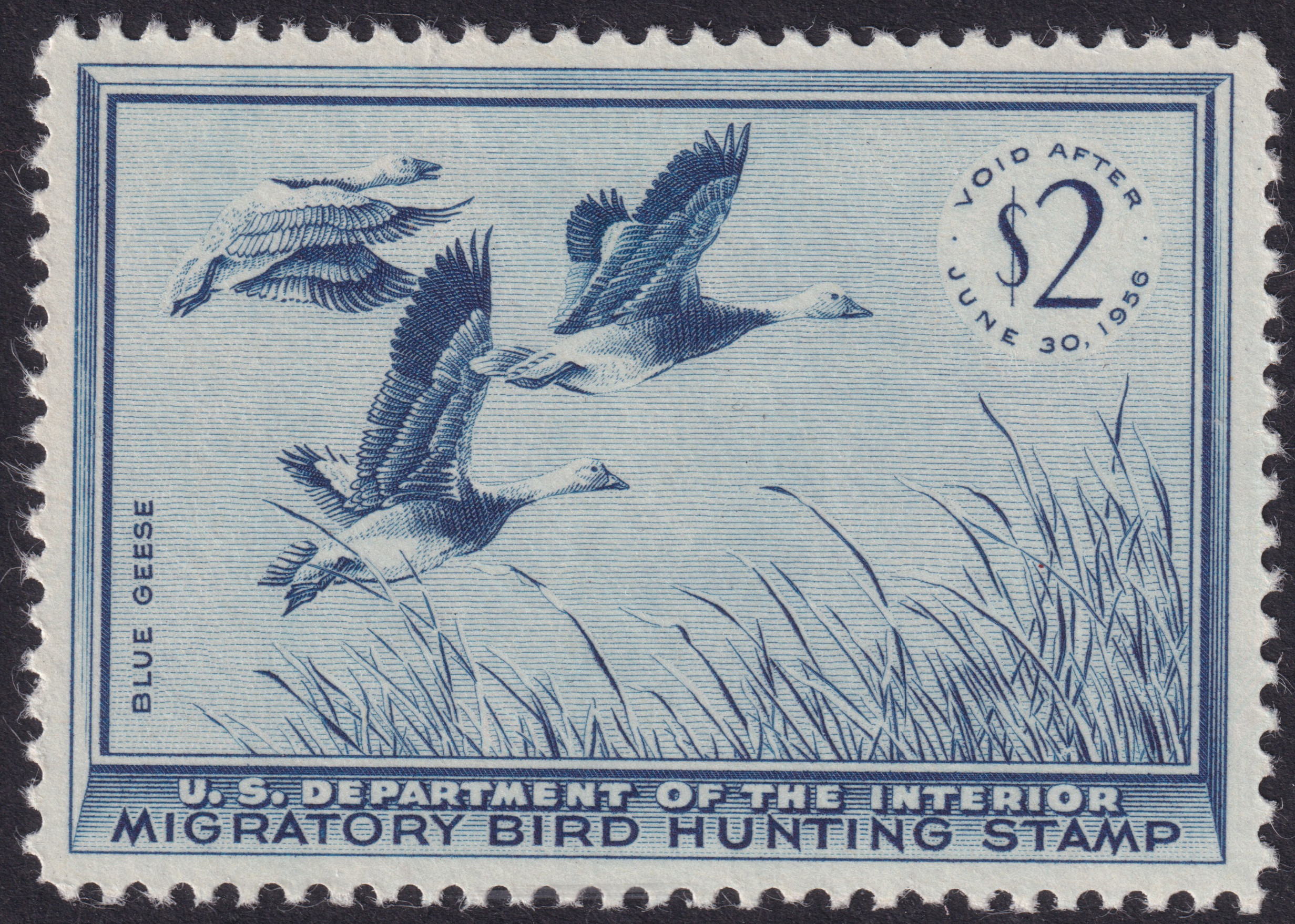 Stamp Picture