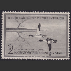 Picture of Lot #55066