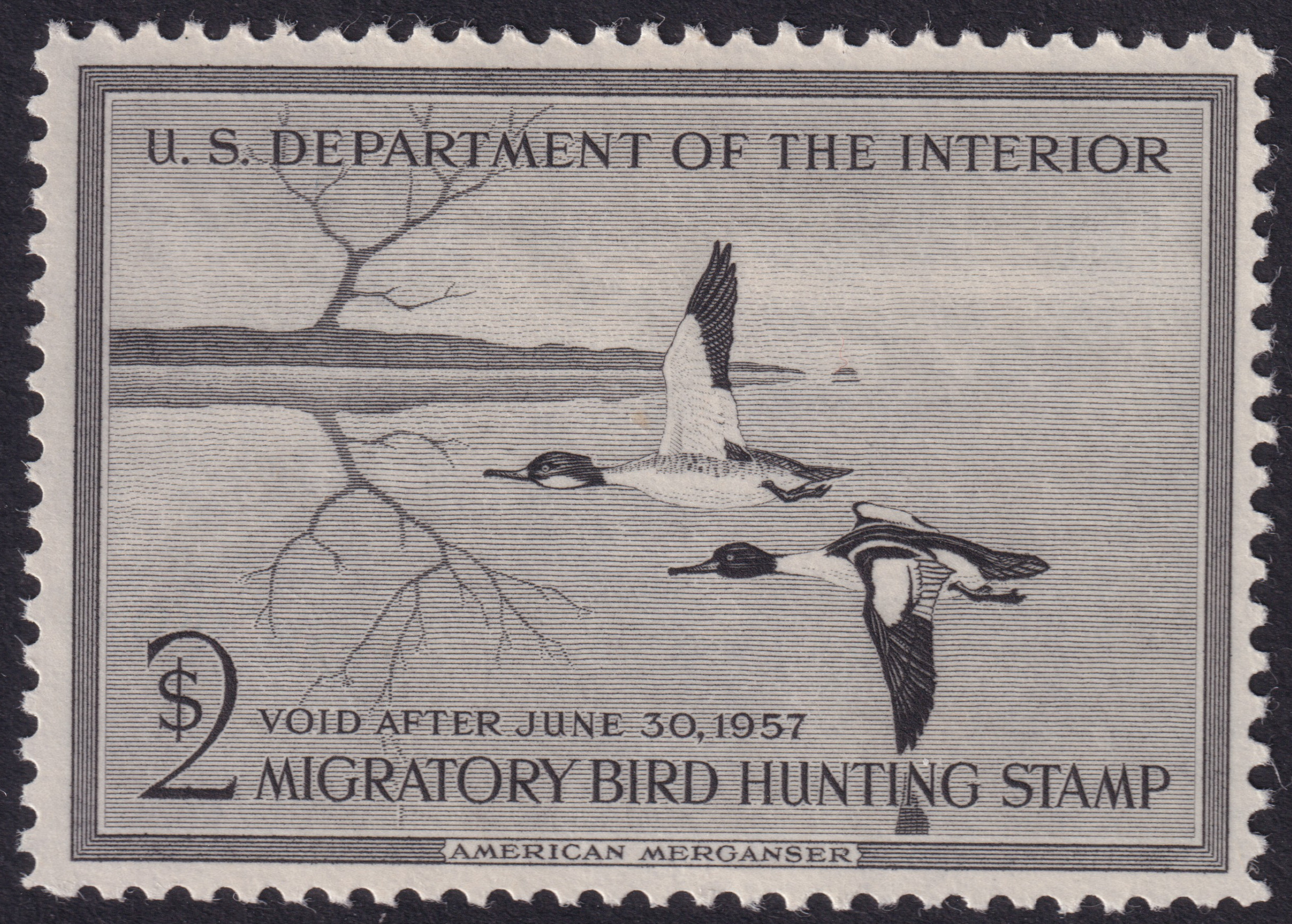 Stamp Picture