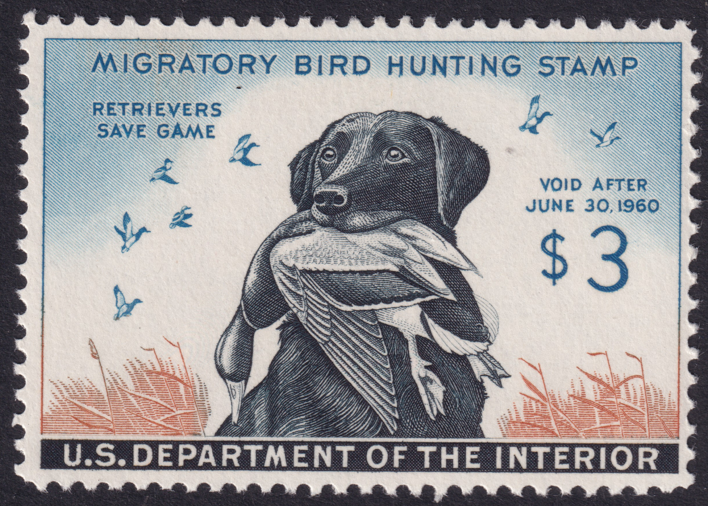 Stamp Picture