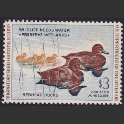 Picture of Lot #55069
