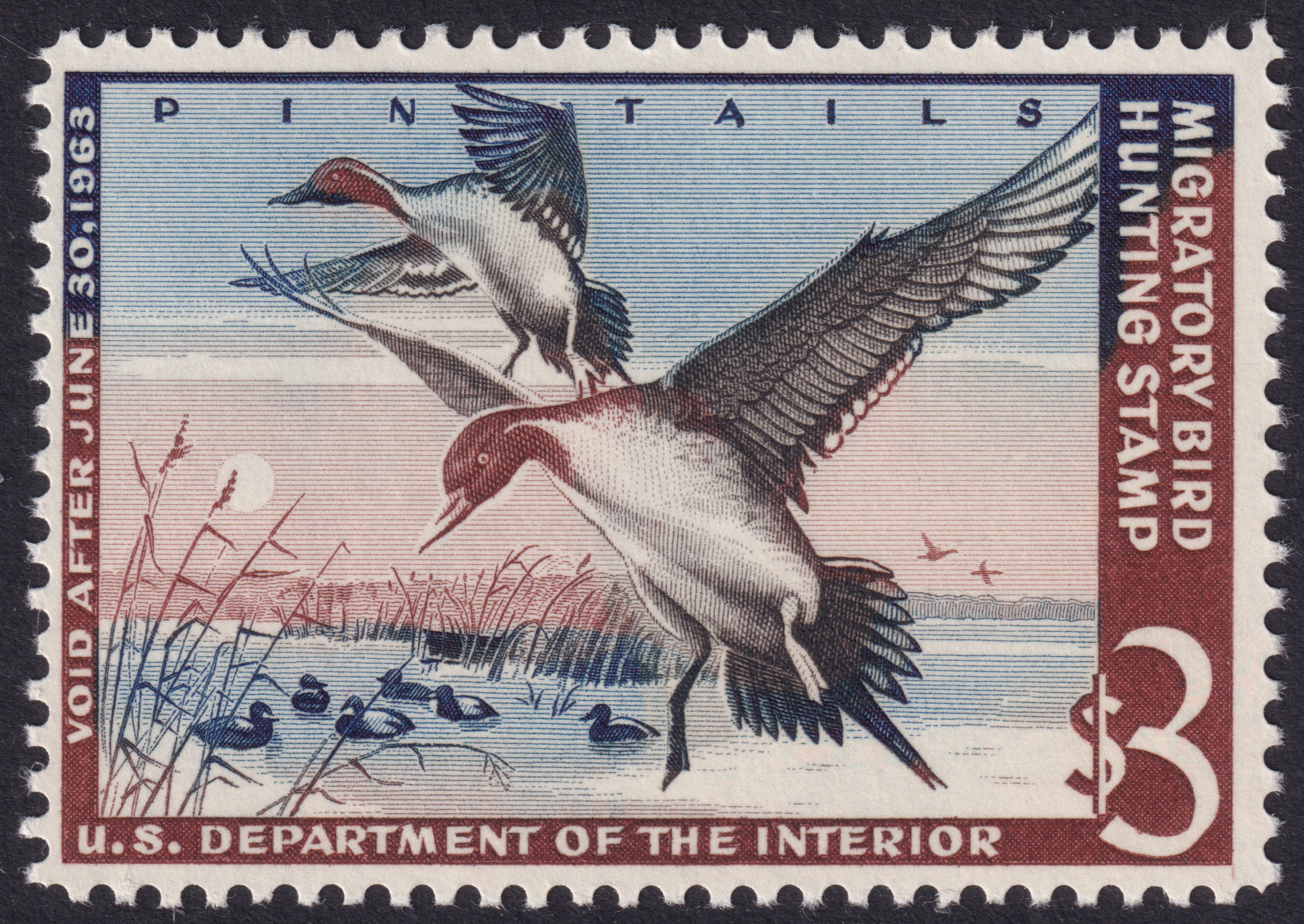 Stamp Picture
