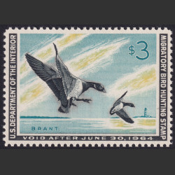 Picture of Lot #55072