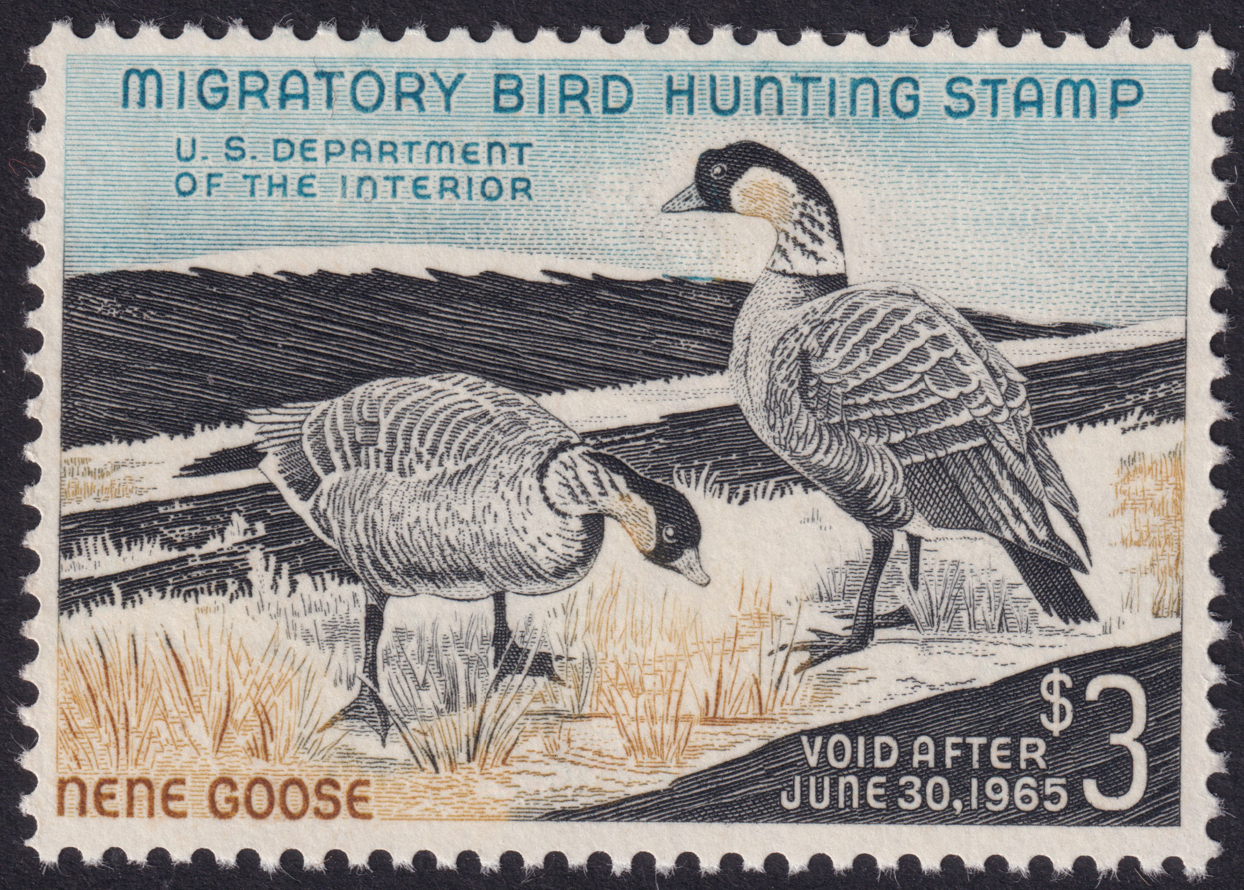 Stamp Picture