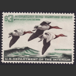 Picture of Lot #55074