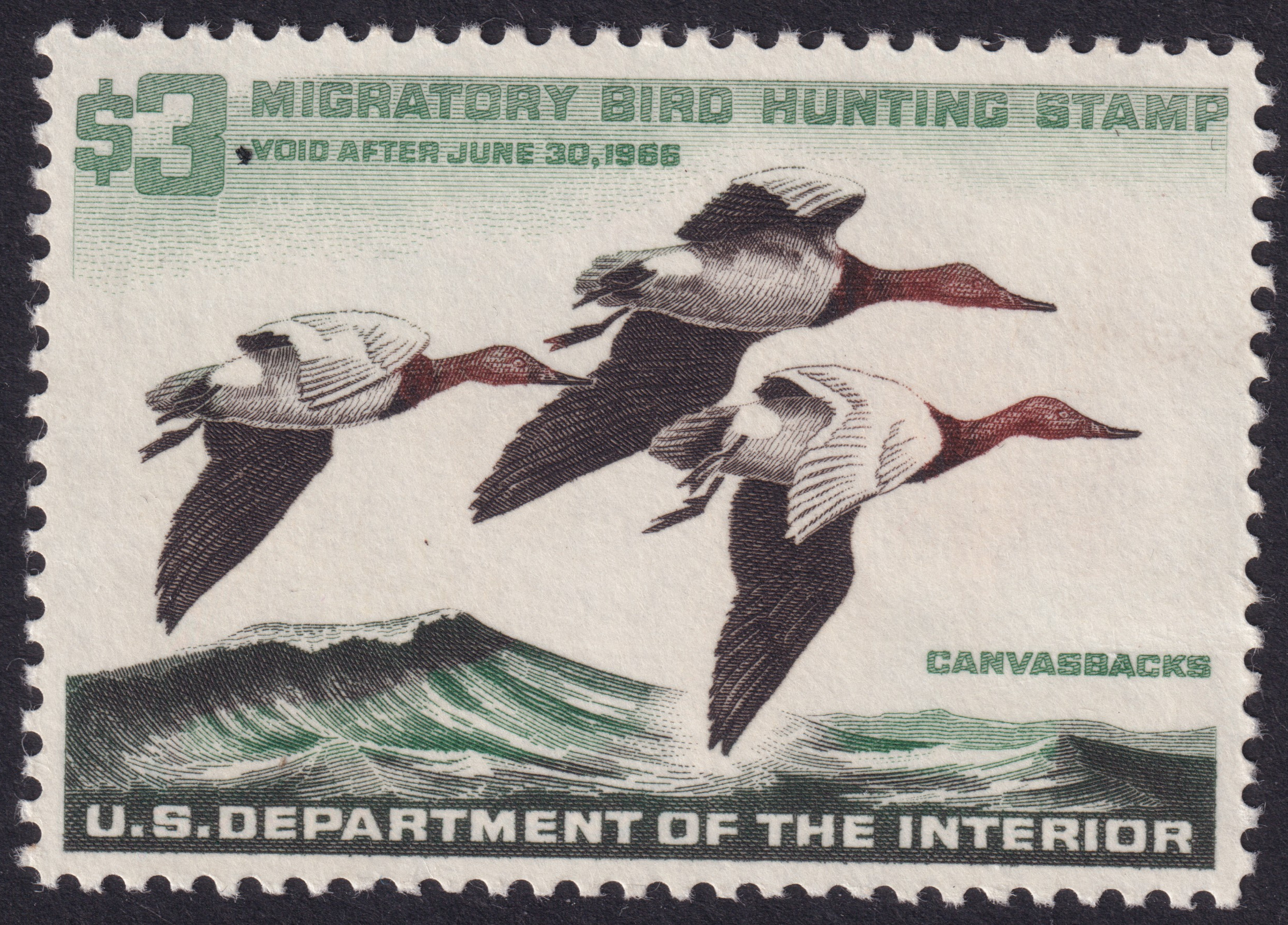 Stamp Picture
