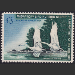 Picture of Lot #55075