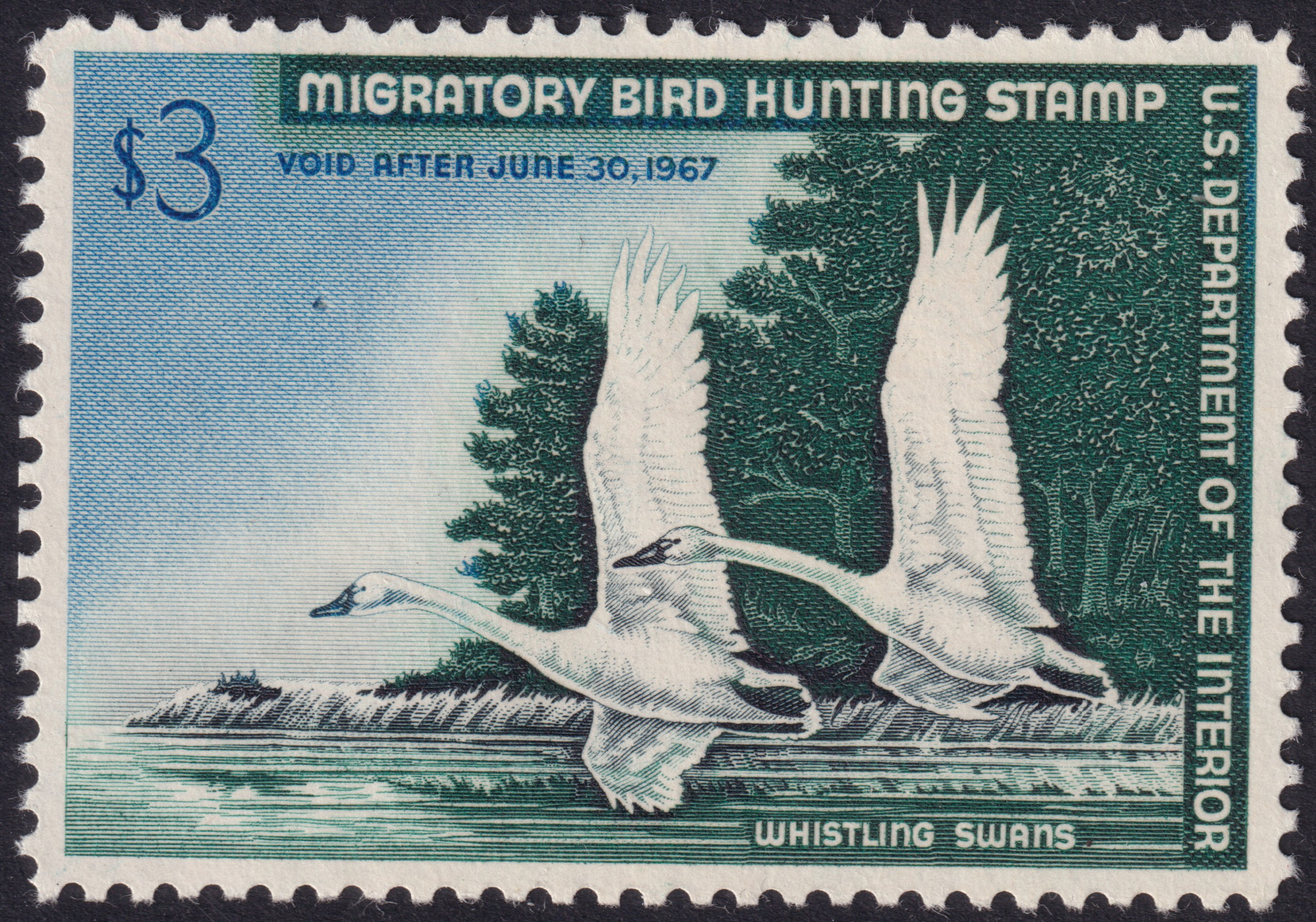Stamp Picture