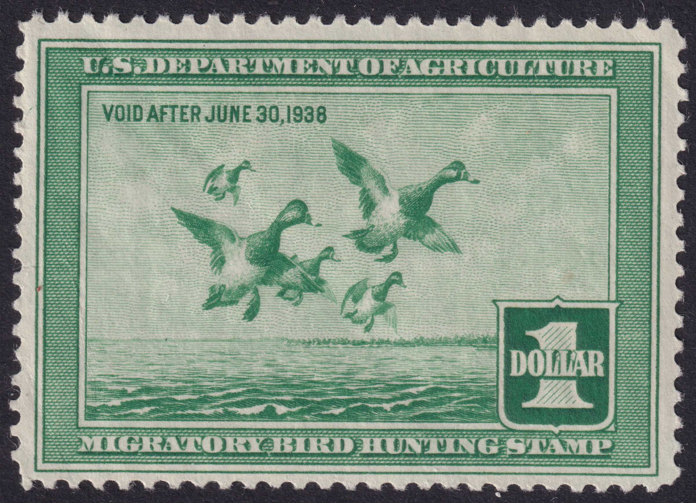 Stamp Picture
