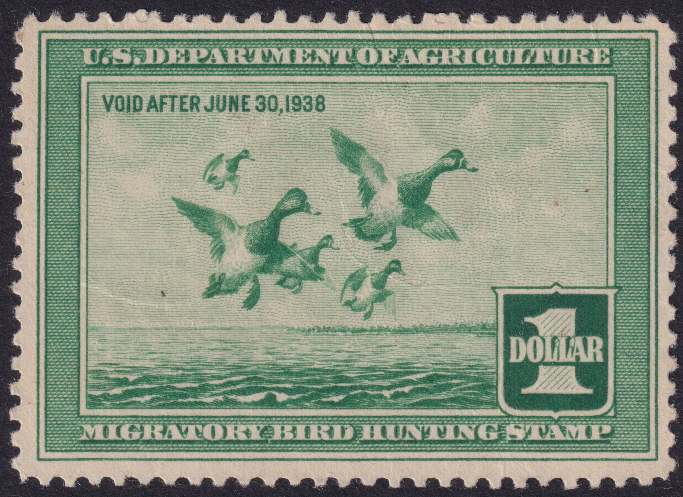 Stamp Picture