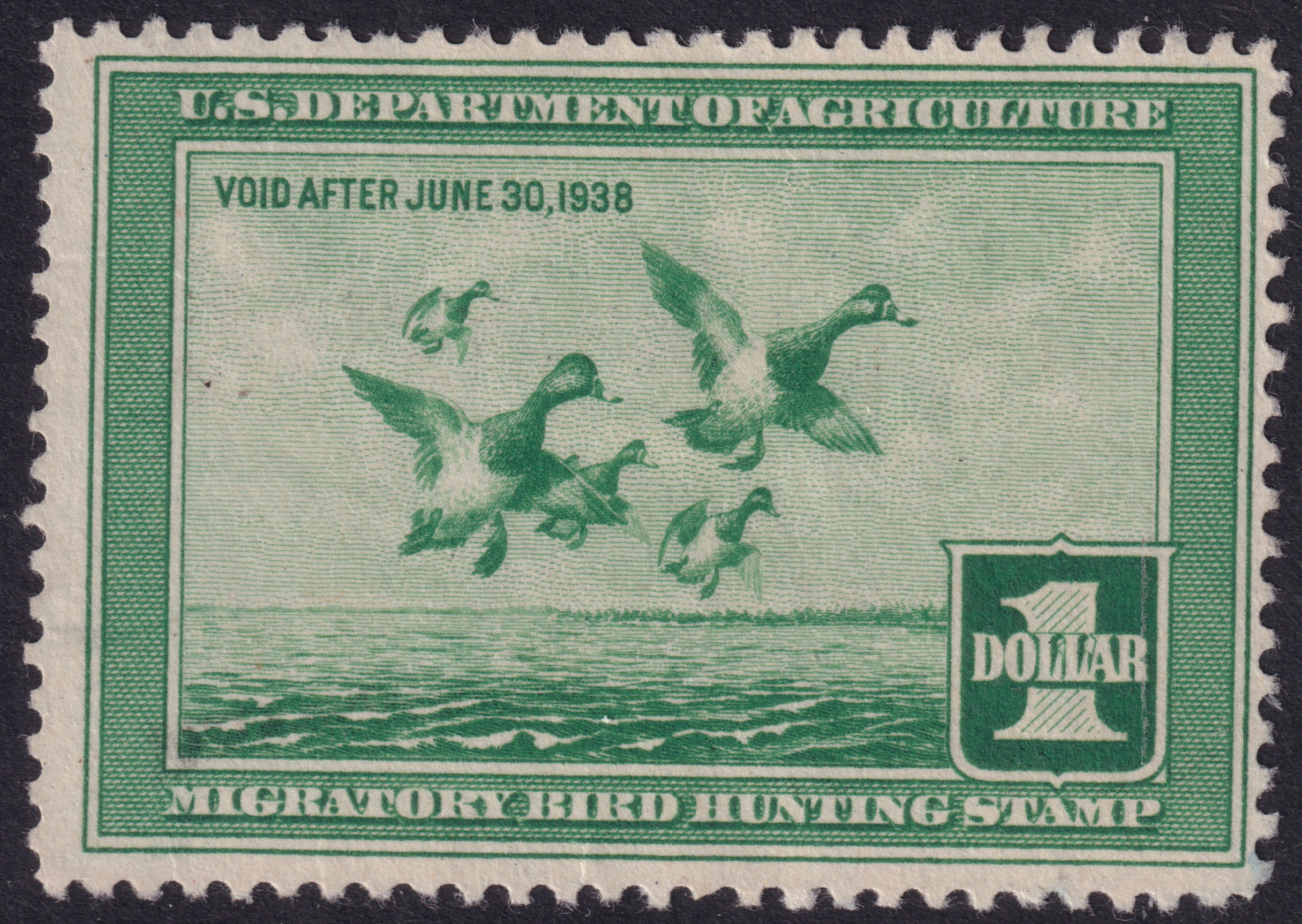 Stamp Picture