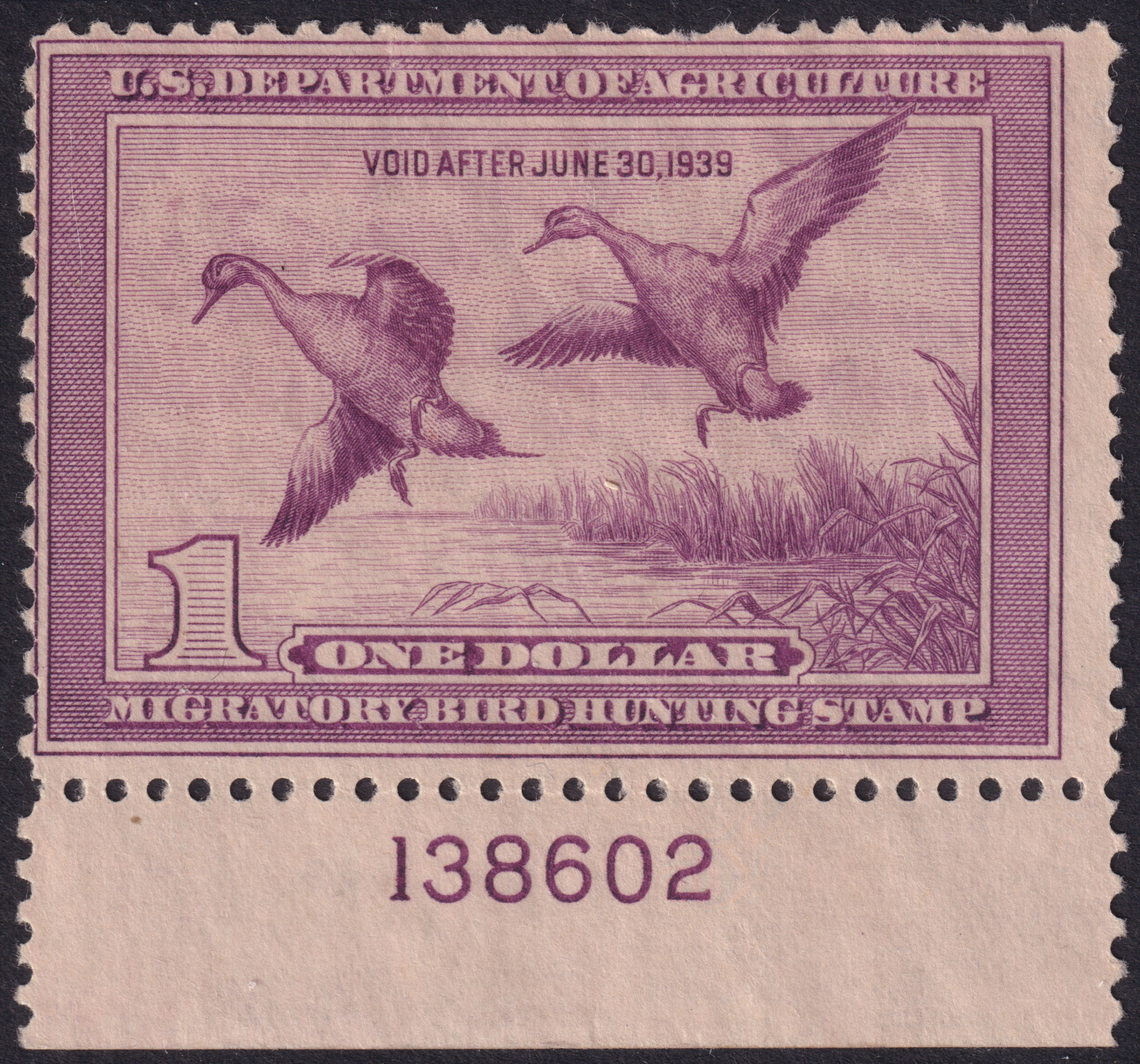 Stamp Picture