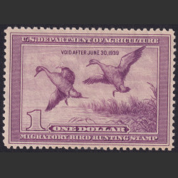 Picture of Lot #55082