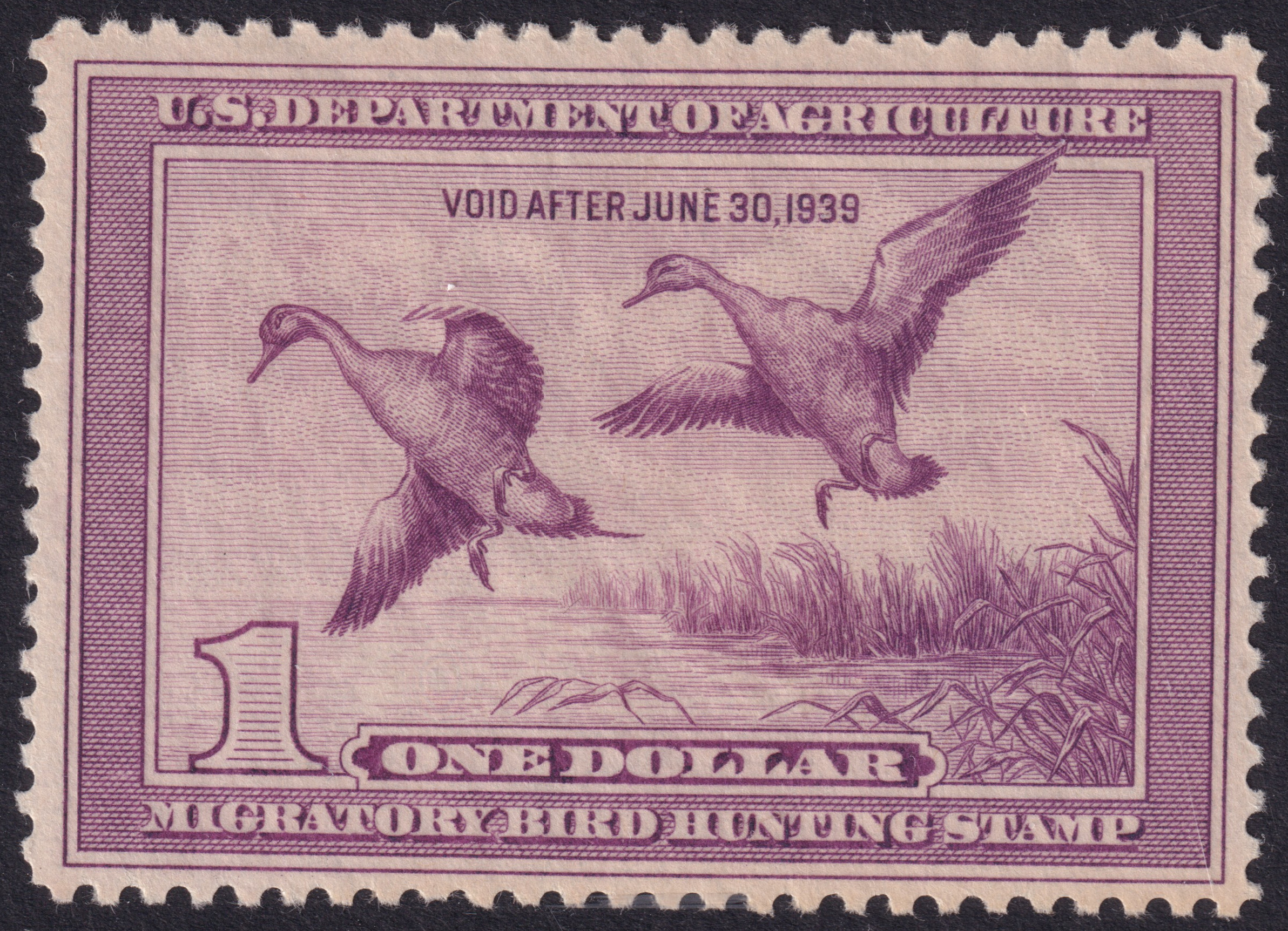 Stamp Picture