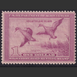 Picture of Lot #55083