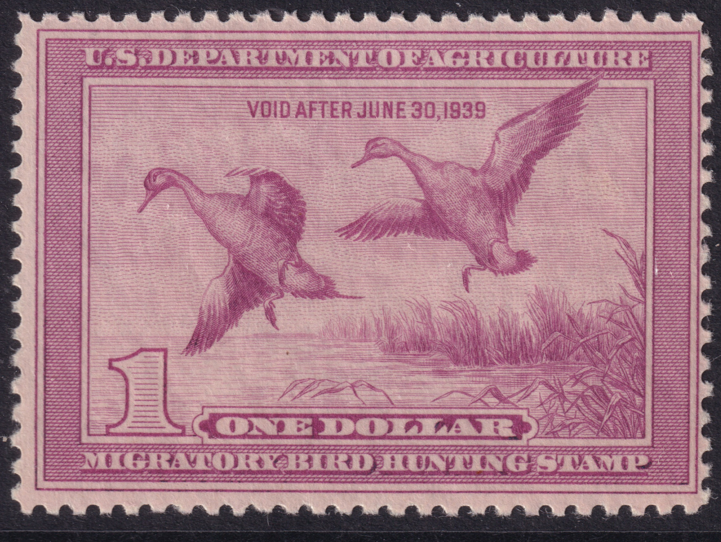 Stamp Picture