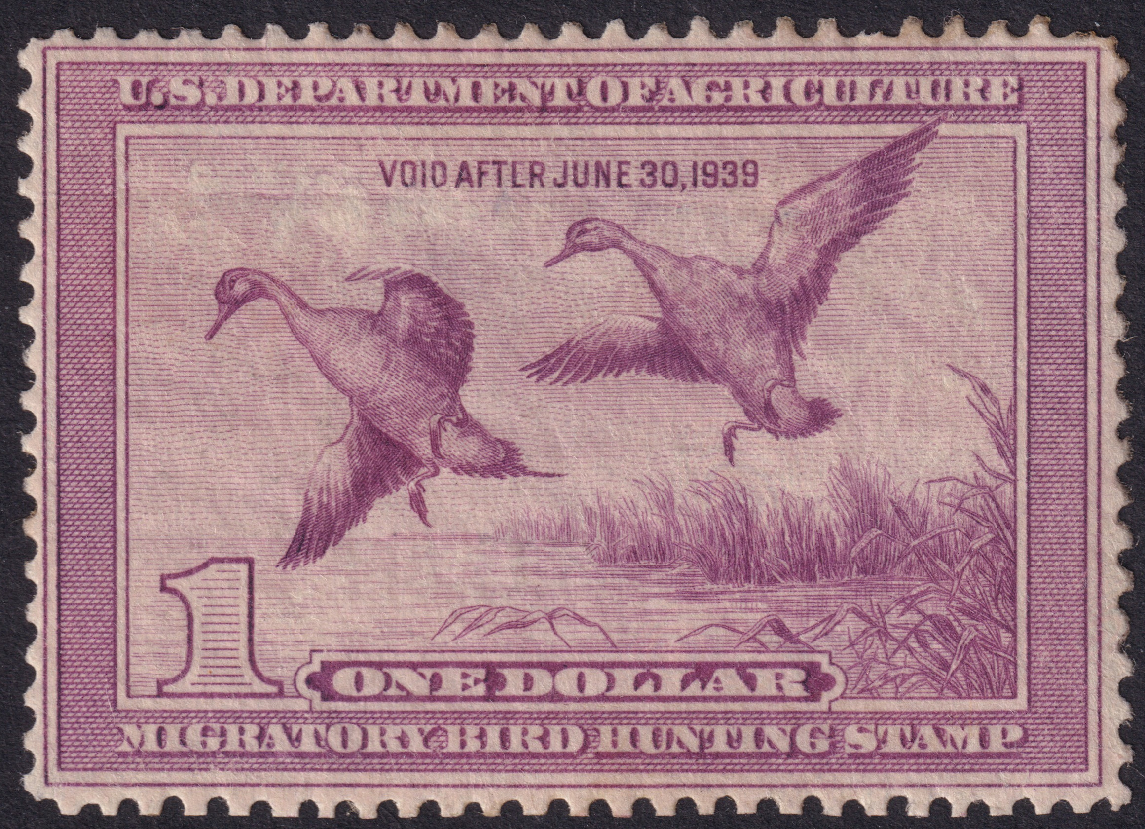 Stamp Picture