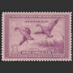 Picture of Lot #55085
