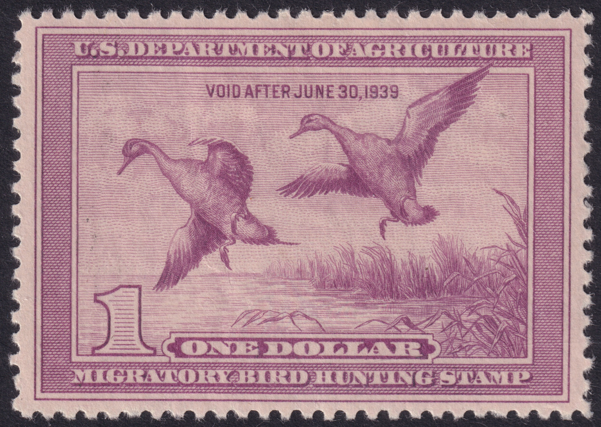 Stamp Picture
