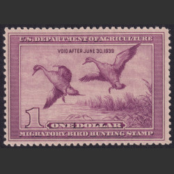 Picture of Lot #55086