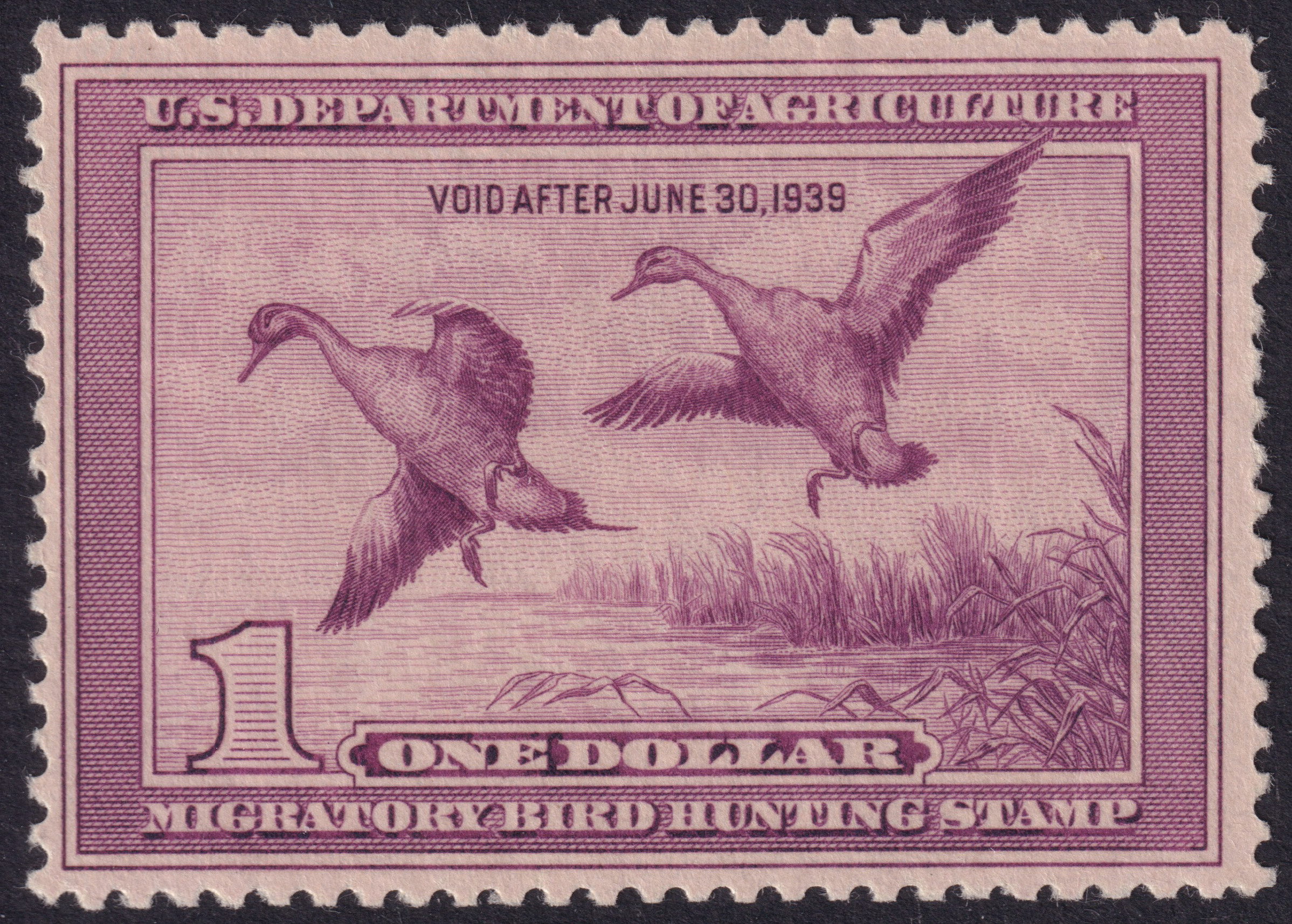 Stamp Picture