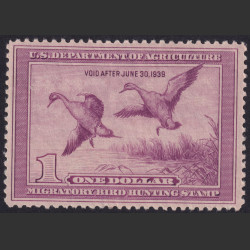 Picture of Lot #55087
