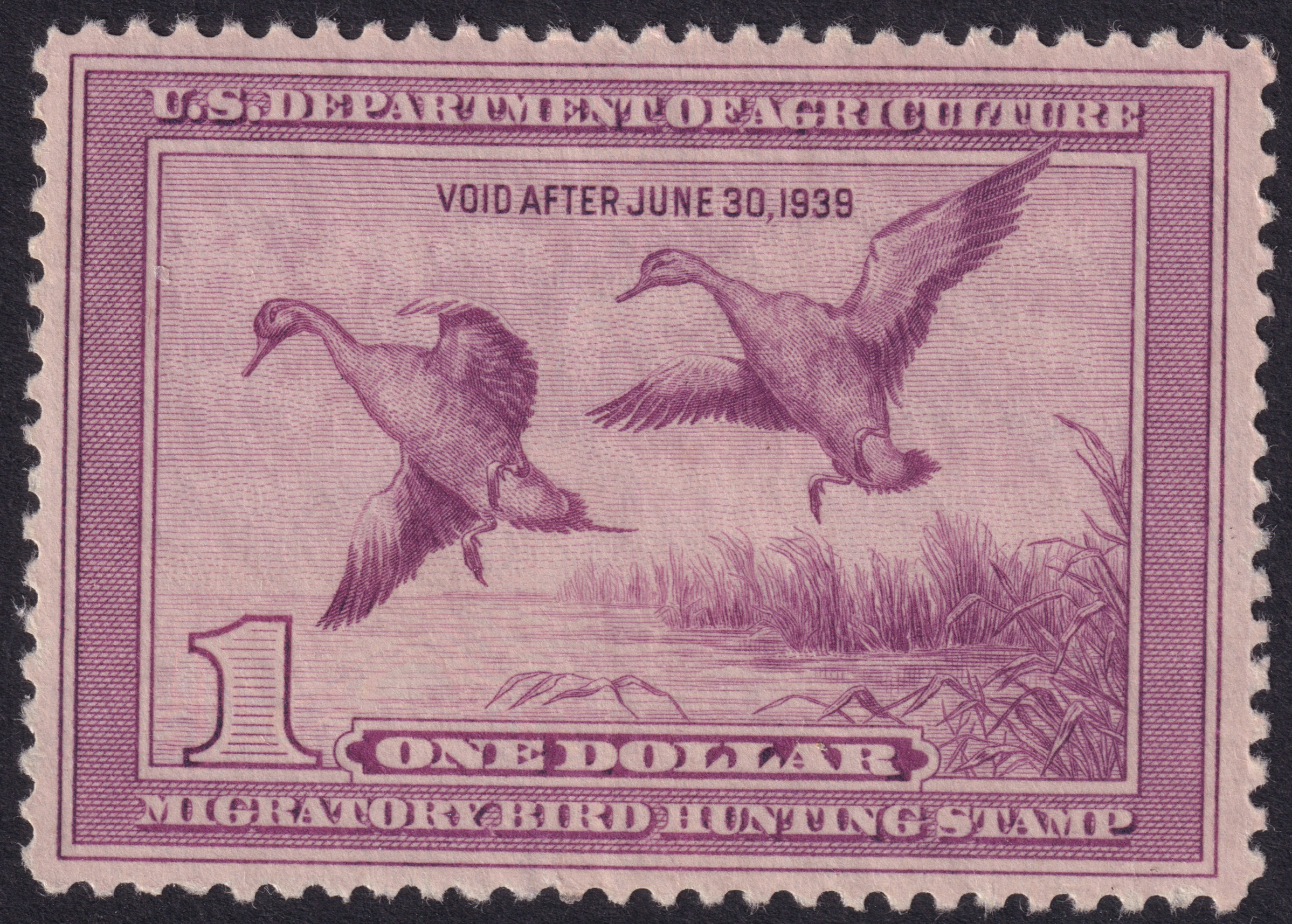 Stamp Picture