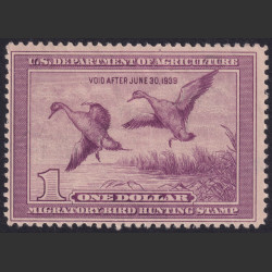 Picture of Lot #55088