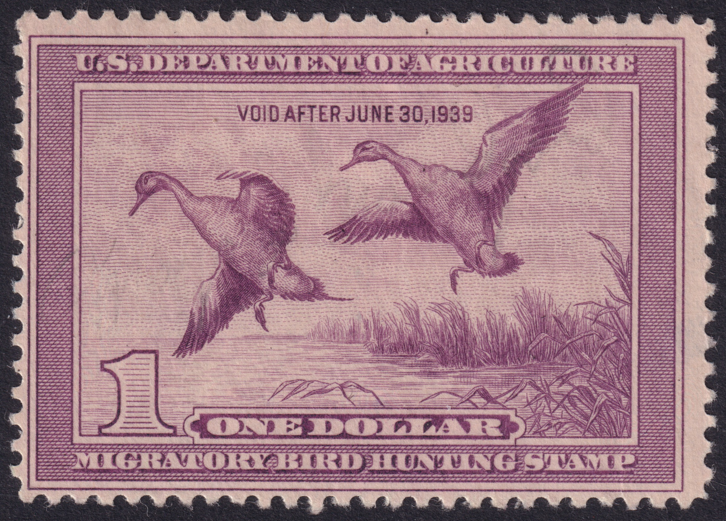 Stamp Picture