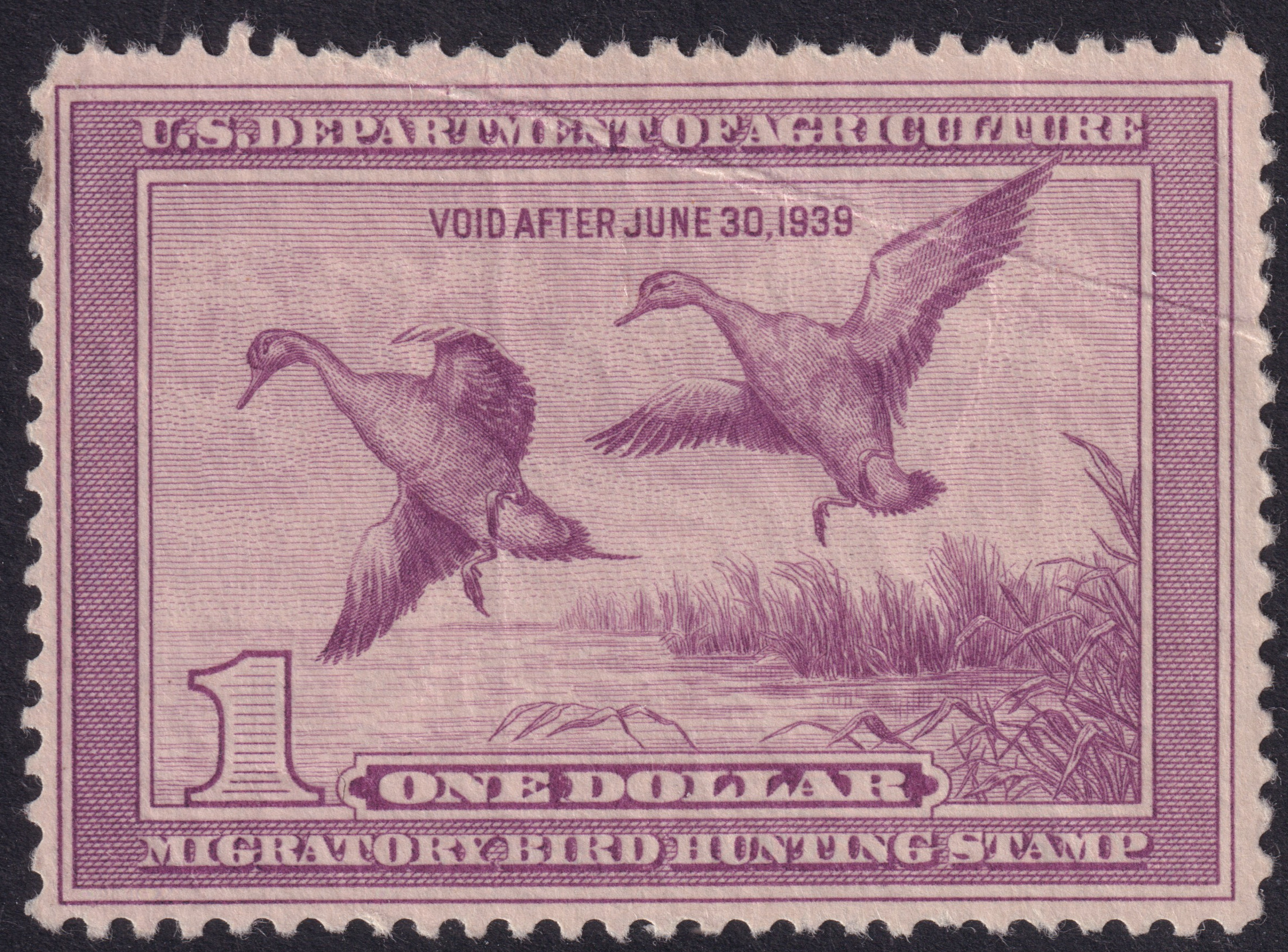 Stamp Picture