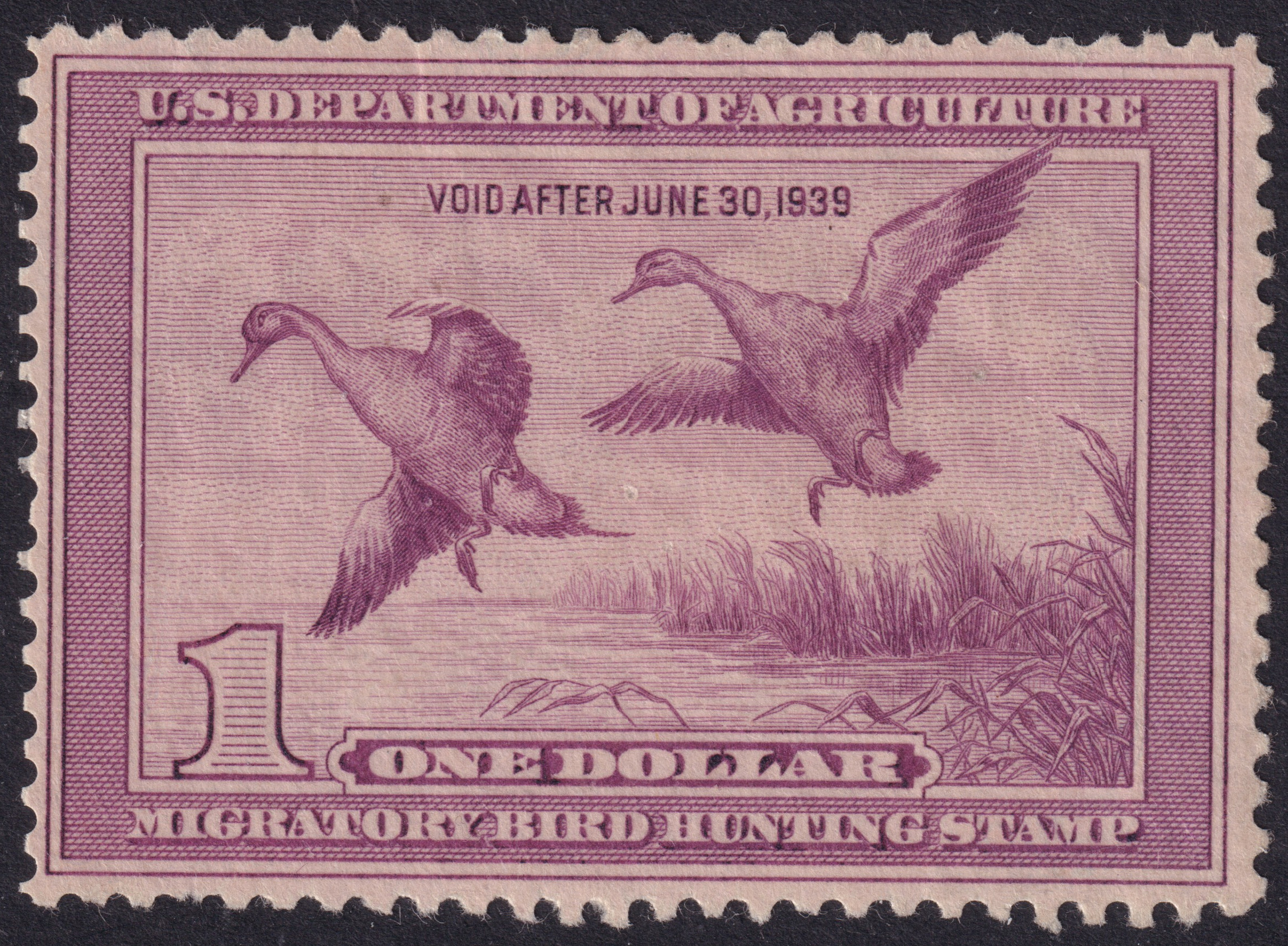 Stamp Picture