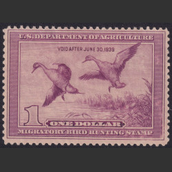 Picture of Lot #55091