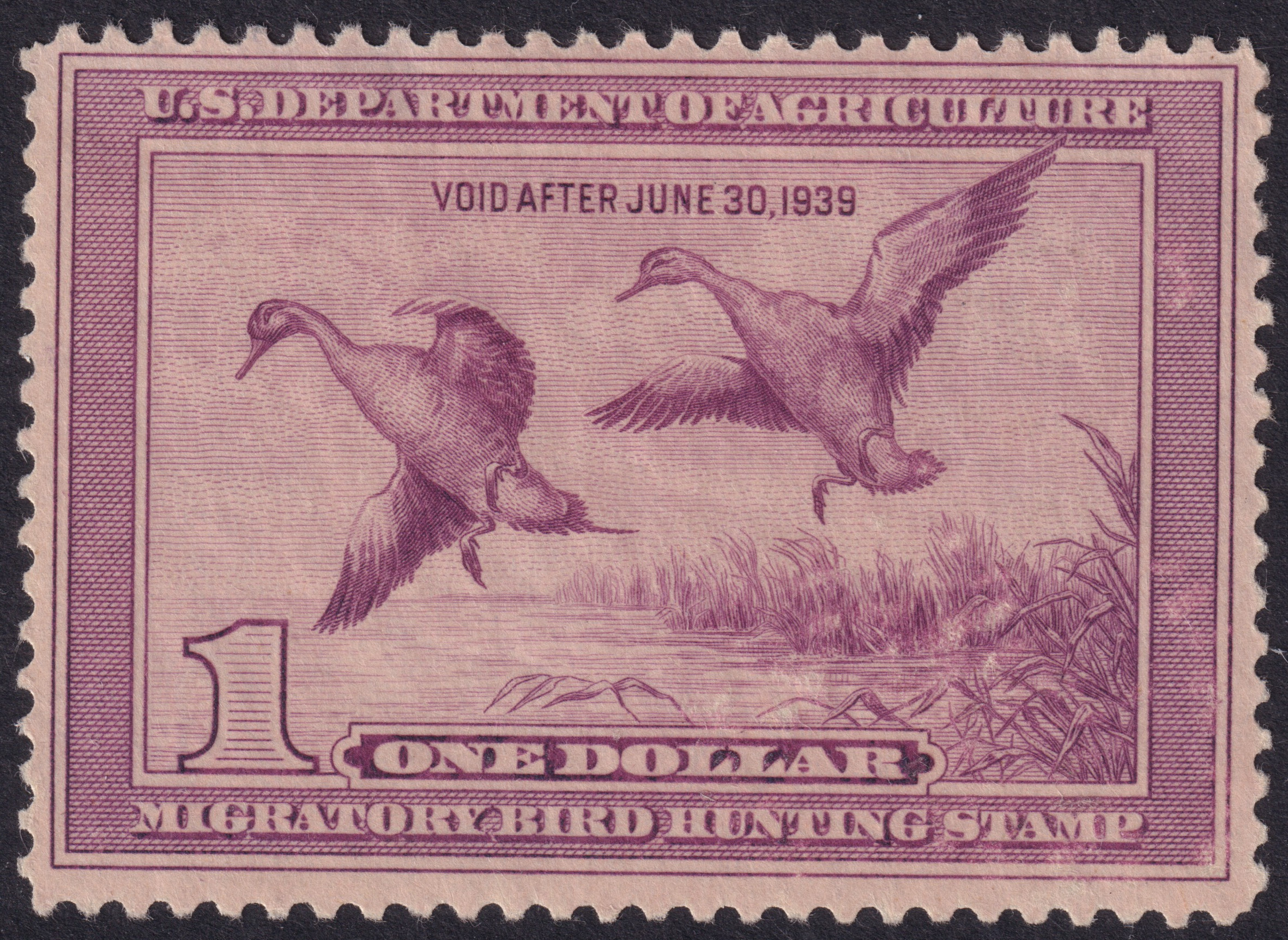 Stamp Picture